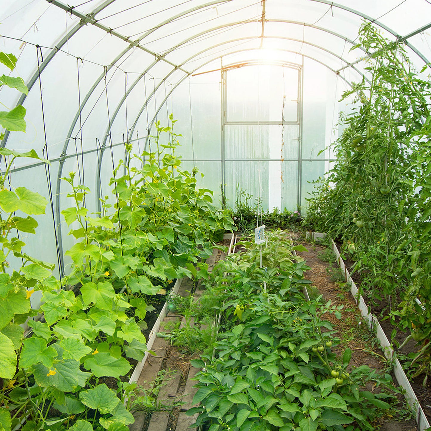 Polycarbonaatplaat – Kunststofplaat – Kanaalplaat – Dubbelwandige Plaat – Tuinplaat – UV-bestendig – 4 mm Dikte – 60,5 x 121 cm – Lichtdoorlatend – Schokbestendig