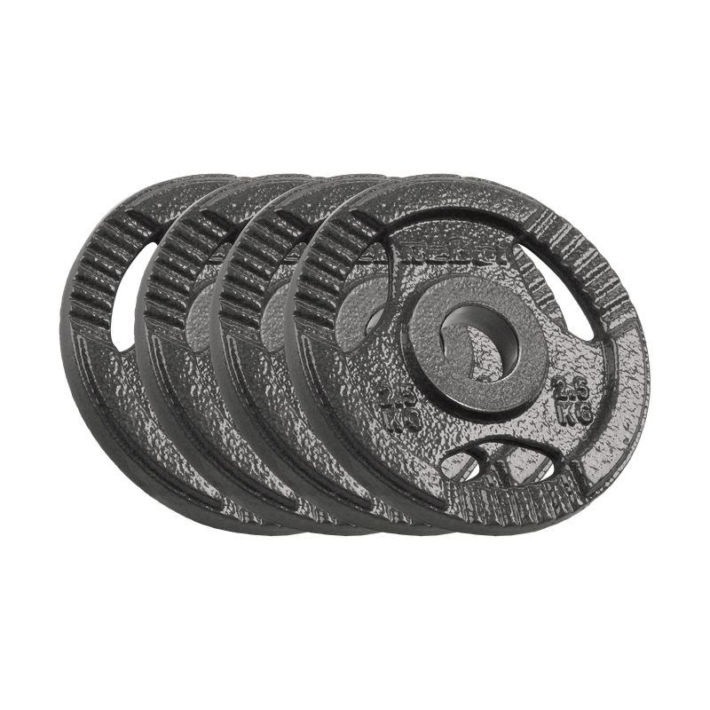 Gietijzeren Gewichtenschijven – Halterschijven – Fitnessgewichten – Krachttrainingsschijven – Dumbbell Schijven – 4x 2,5 kg – 51 mm Gat Met Handgrepen