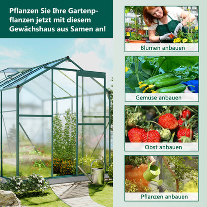 Aluminum Greenhouse with Foundation, 4.75m² - 190 × 253cm, Includes 1 Skylight and Sliding Doors, Garden Greenhouse Plant House, Tomato Room,  Plant Propagation Space, Walk-In Greenhouse, Plant House Enclosure, Minimalist F