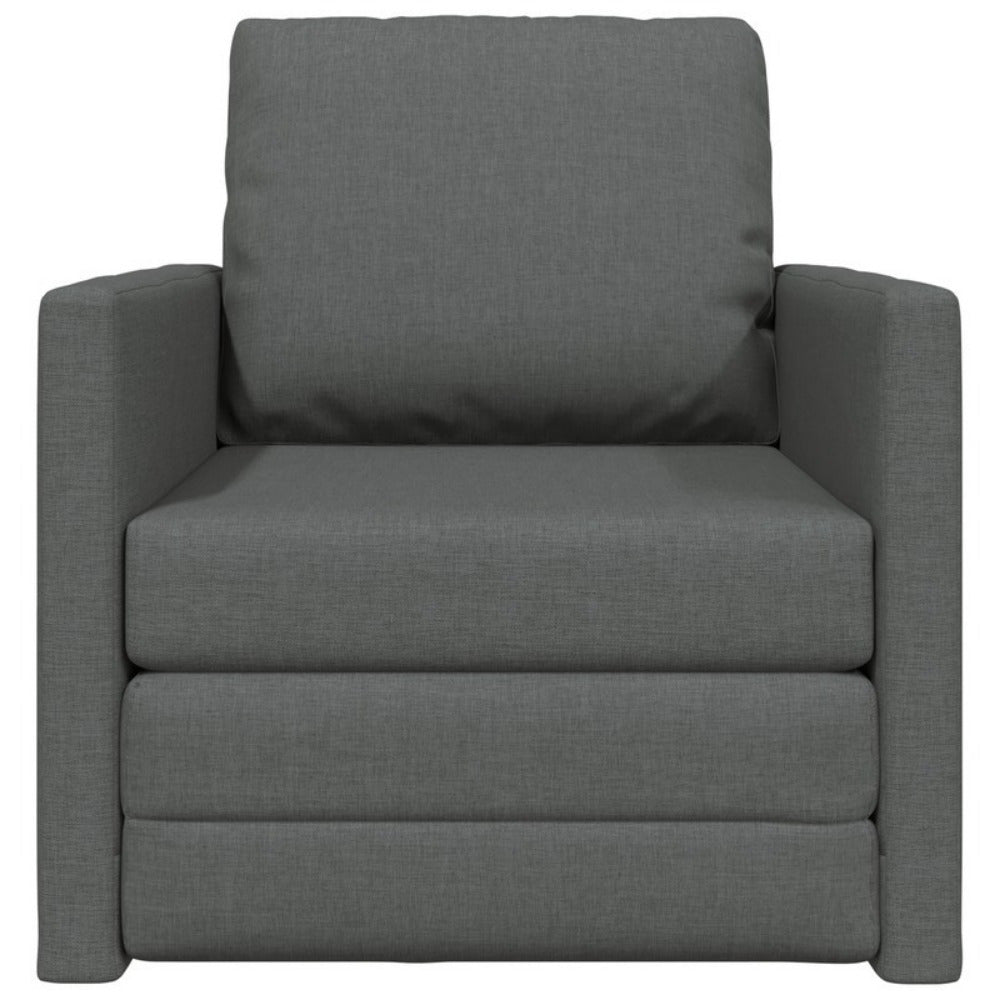 Slaapbank – Bedbank – Slaapbankje – Zitbank – 2-in-1 Meubel – Antraciet – Ruimtebesparend – Comfortabele Zachte Kussens