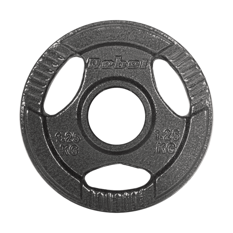 Gietijzeren Gewichtenset – Halterschijven – Fitnessgewichten – Gewichtplaten – Dumbbell Schijven – 4x1,25 kg – 51 mm Gat – Handgrepen
