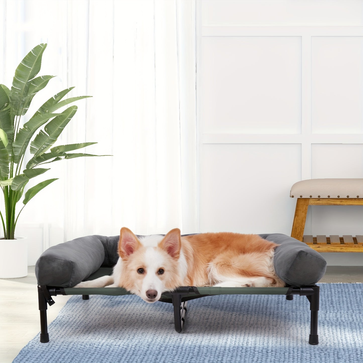 Verhoogd Hondenbed – Hondenkussen – Hondenmat – Huisdier Lounger – Buiten Bed – 2XL – Ademend Mesh – Afneembare Pluche Bolster