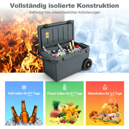Koelbox – Mobiele Koelbox – IJsbox – Picknick Koeler – Wielen Koelbox – 71 Liter Inhoud – Stevige Wielen 19 cm