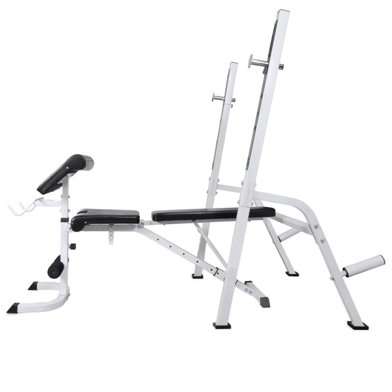Verstelbare Gewichtbank – Krachtbank – Fitnessbank – Halterbank – Dumbbellbank – Hoogwaardig IJzer – Max. Belastbaarheid 60,5 kg