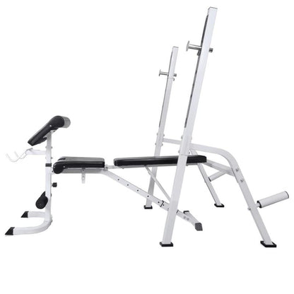 Verstelbare Gewichtbank – Krachtbank – Fitnessbank – Halterbank – Dumbbellbank – Hoogwaardig IJzer – Max. Belastbaarheid 60,5 kg