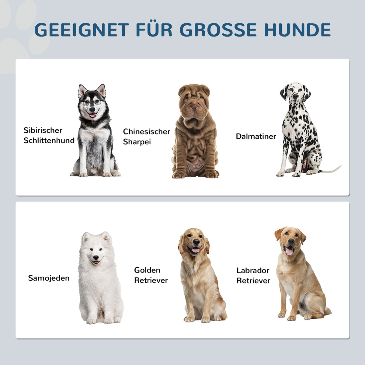 Verhoogde Voederplek – Voerstation – Huisdiervoerbak – Kattenvoerbak – Hondenvoerstation – Wit – RVS Voederbakken – Opbergruimte