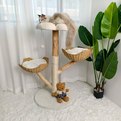 Eetkamerstoelen Fluwelen Set Van 4 – Velvet Stoelen – Design Stoelen – Moderne Stoelen – Accent Stoelen – Gouden Metalen Poten – Mid Century Stijl – Comfortabele Rugleuning