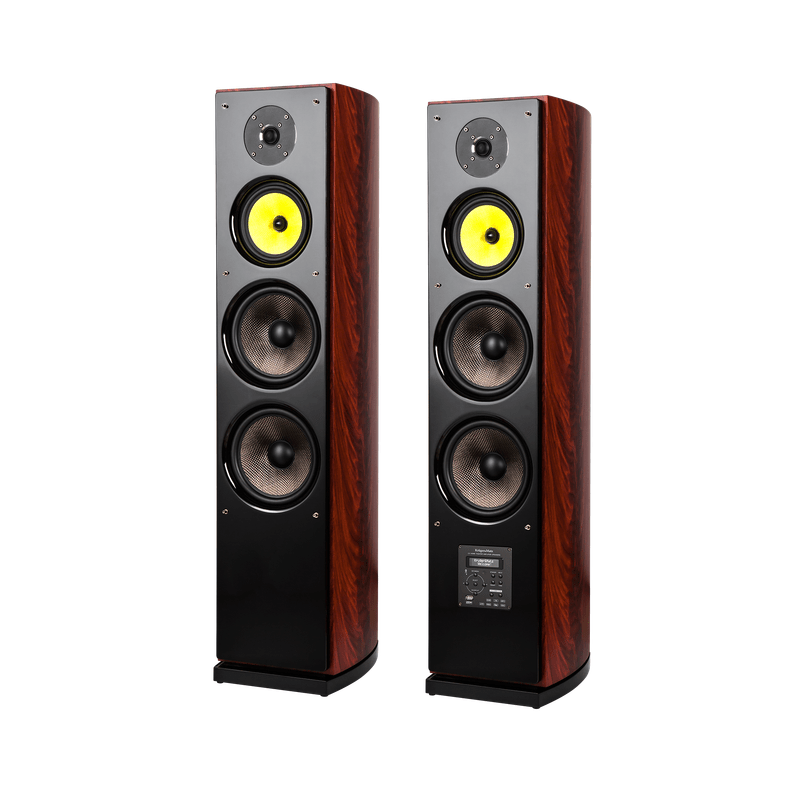 Professionele Actieve Luidspreker 200 W – 2-weg Stereo Verzingsysteem (BT 200W Active Speakers)