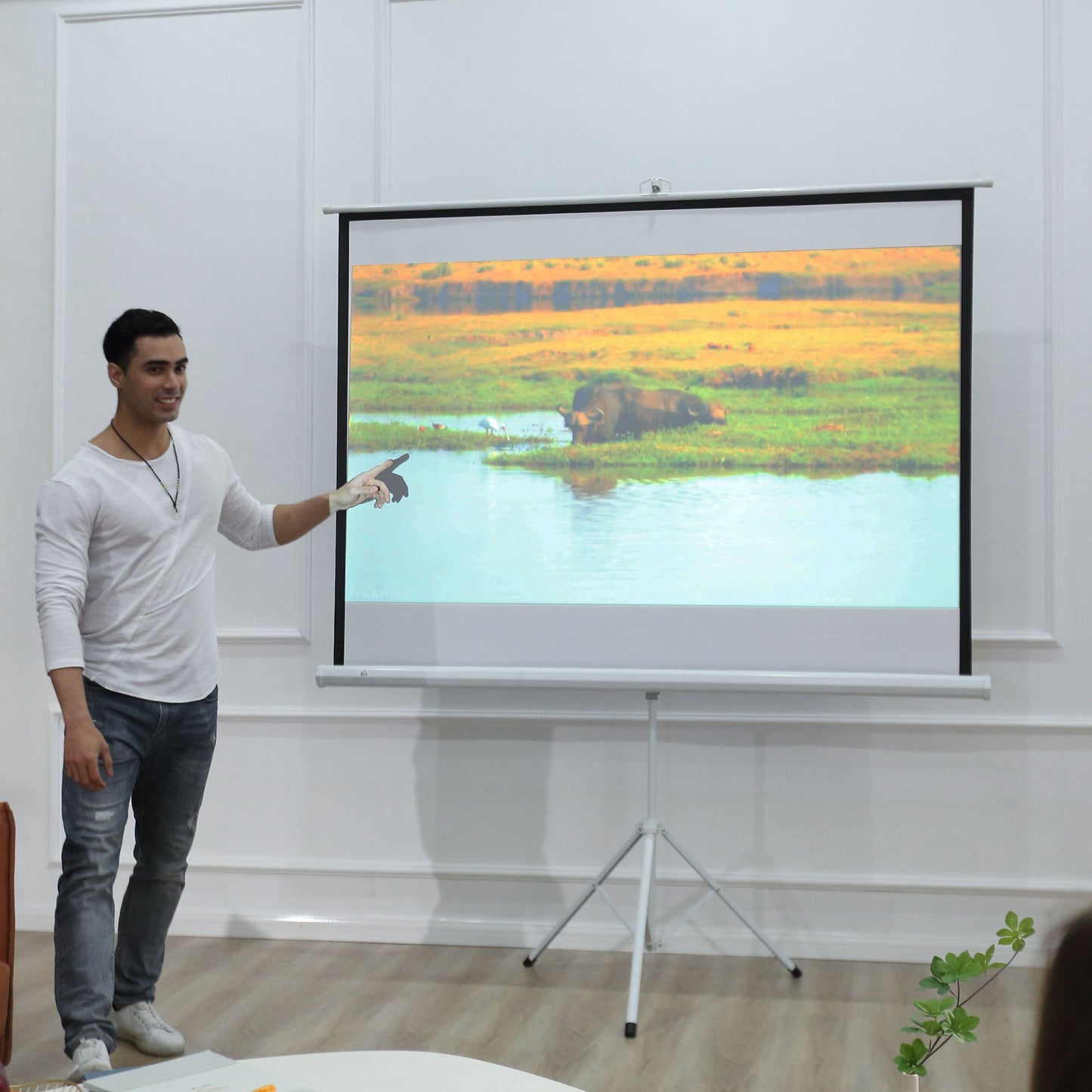 Projectiescherm – Beeldscherm – Presentatiescherm – Filmscherm – Cinema Scherm – 4:3 Formaat – Wit Kwaliteitsmateriaal – Heldere Projectie