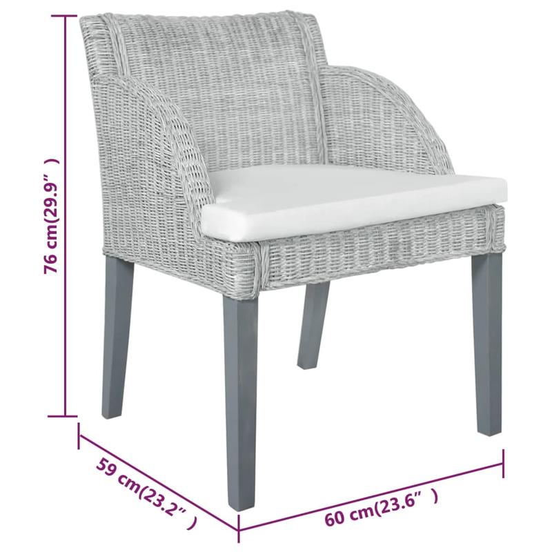 2pcs Modern Gray Rattan Dining Chairs with Cushioned Seats - Sturdy Hardwood Frame & Wipeable Fabric, Solid Back Support - Indoor/Outdoor Use for Kitchen, Patio, Dining Room - Easy-Clean Contemporary Design (No Batteries/Elec