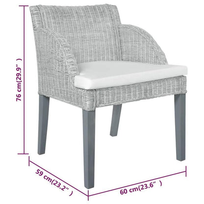 2pcs Modern Gray Rattan Dining Chairs with Cushioned Seats - Sturdy Hardwood Frame & Wipeable Fabric, Solid Back Support - Indoor/Outdoor Use for Kitchen, Patio, Dining Room - Easy-Clean Contemporary Design (No Batteries/Elec