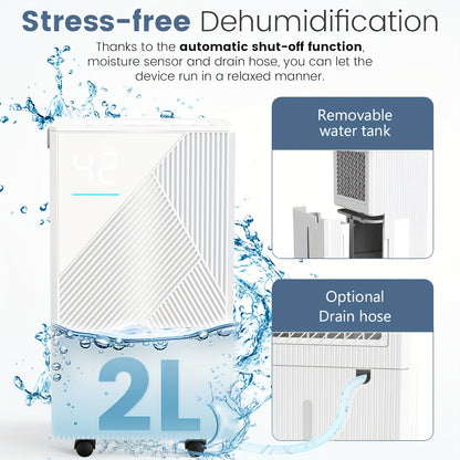 Luchtontvochtiger – Vochtvreter – Dehumidifier – Vochtverwijderaar – Wasdroger – 14L per Dag – Wi-Fi App Bedienbaar – Stil & Energiezuinig