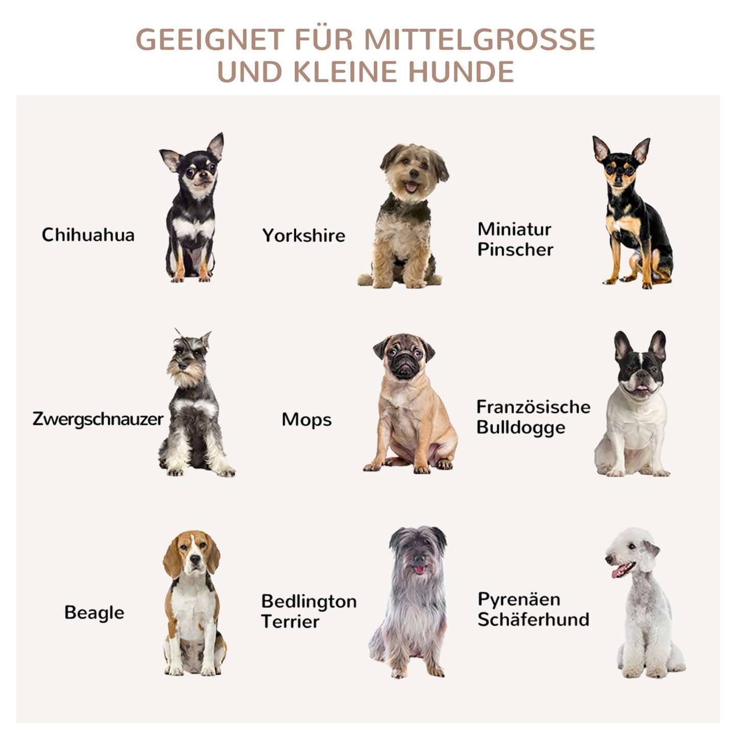 Hondenbench – Hondenkooi – Hondenhok – Hondenren – Hondebench Zwart – Waterafstotende Mat – Uitneembare Bodemplaat