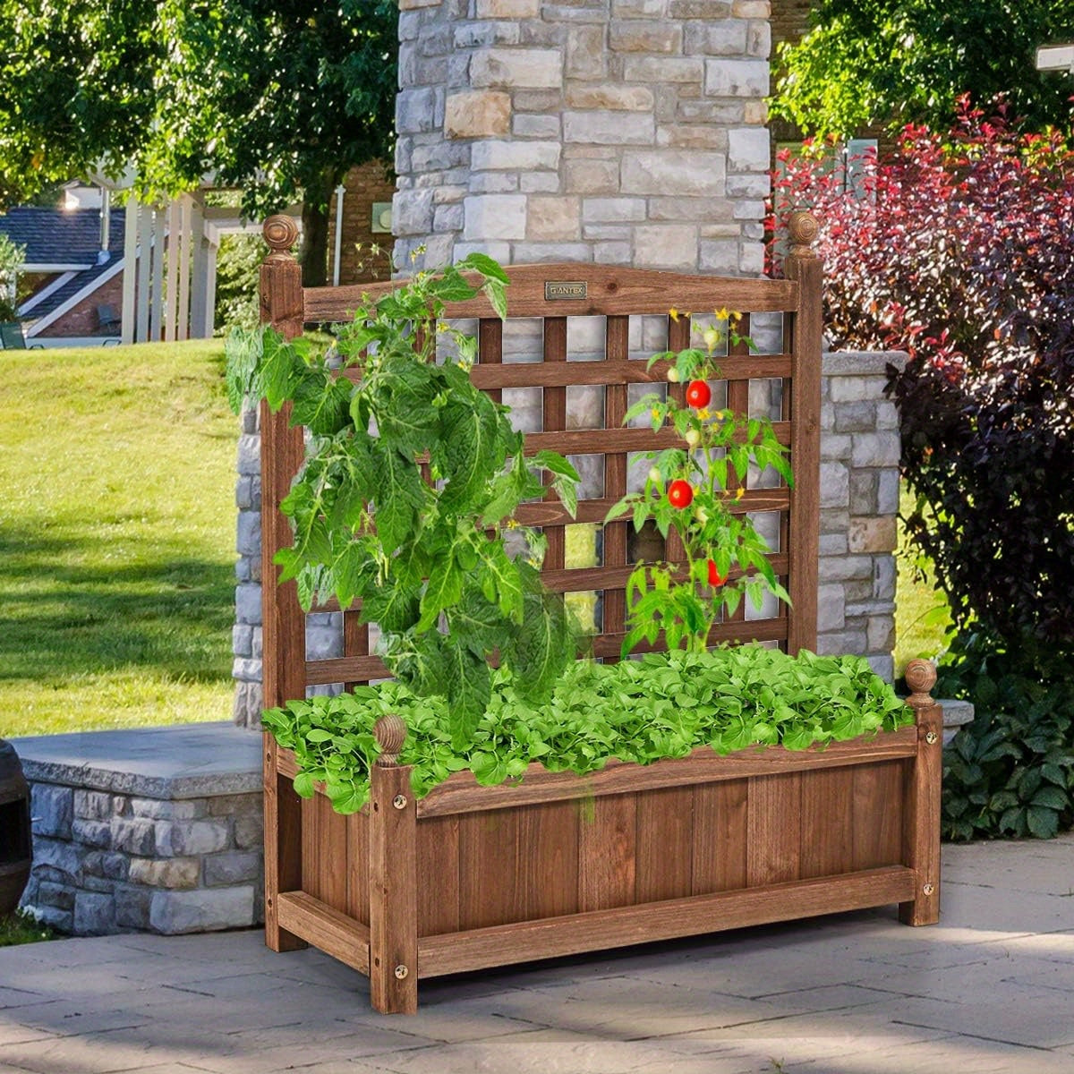 Verhoogde Plantenbak – Houten Tuinbak – Bloemenbak – Kruidenbak – Groentebak – Met Klimrek – Gemaakt Van Duurzaam Vurenhout – Afmetingen 64,5x28x75 cm