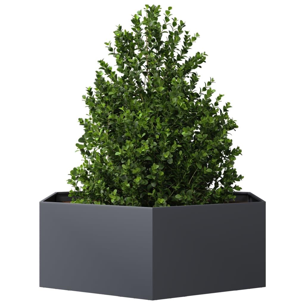 Verhoogde Plantenbak – Tuinbak – Bloembak – Kruidenbak – Groentebak – Weerbestendig Staal – Hexagonaal Design 138x120x45 cm