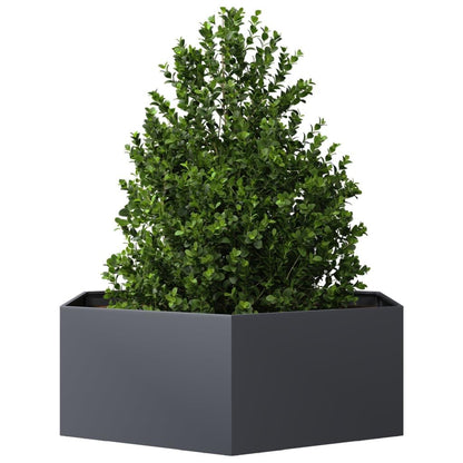 Verhoogde Plantenbak – Tuinbak – Bloembak – Kruidenbak – Groentebak – Weerbestendig Staal – Hexagonaal Design 138x120x45 cm