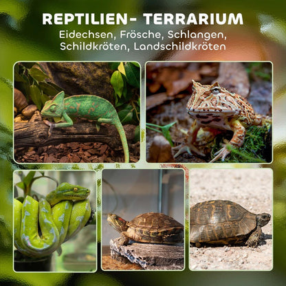 Terrarium – Reptielen Terrarium – Glas Terrarium – Hagedis Terrarium – Slang Terrarium – Groot Glas Terrarium Met Verhoogde Waterdichte Basis – Veilig Push-Lock Deksel