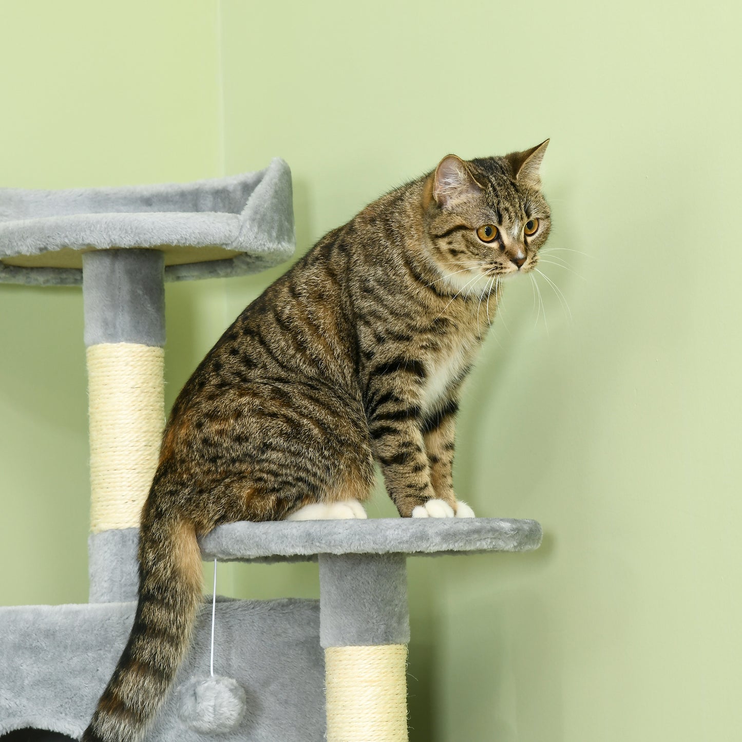 Kattenklimboom – Kattenboom – Klimpaal – Krabpaal – Speelboom – Extra Hoog 200 cm – 6 Platforms & 2 Hangmatten – Duurzaam Houtvezelplaat & Pluche