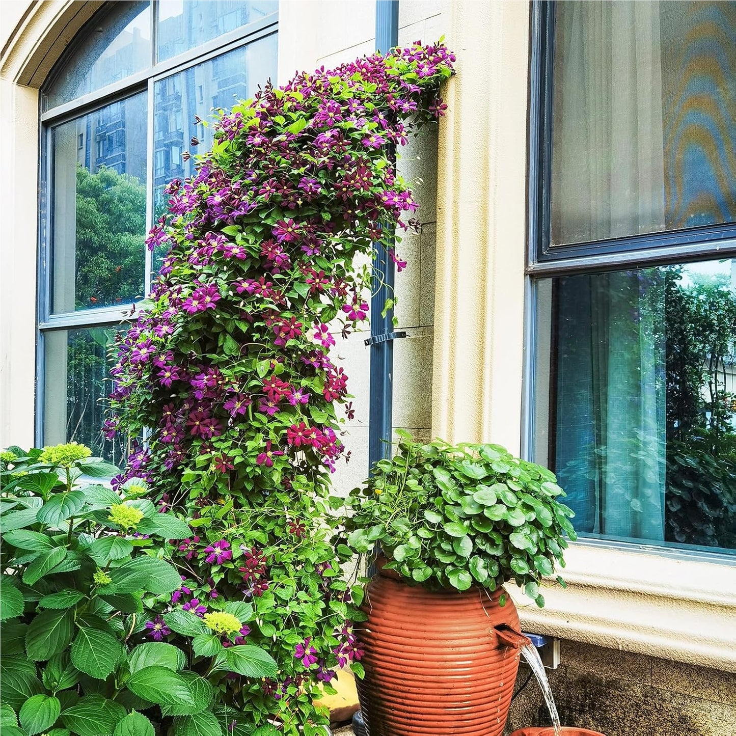 Rozenboog – Tuinboog – Klimboog – Plantenboog – Klimsteun – Zwart Metaal – 150 x 40,5 x 251,5 cm – Twee Halve Bogen