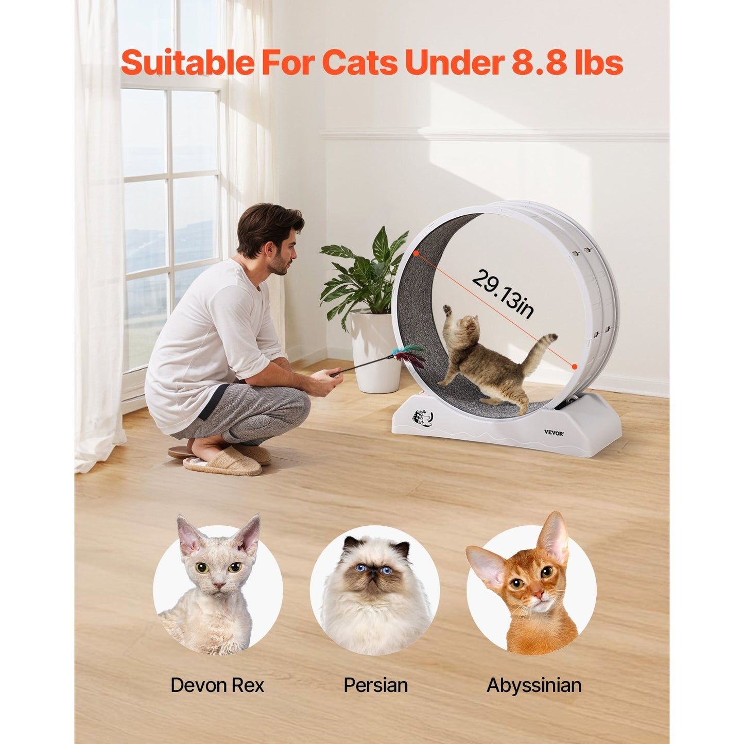 Kattenloopwiel – Kattenrad – Kattenrennrad – Kattenrennen – Kattenfitness – Groot 80 cm Diameter – Stil En Stabiel Ontwerp