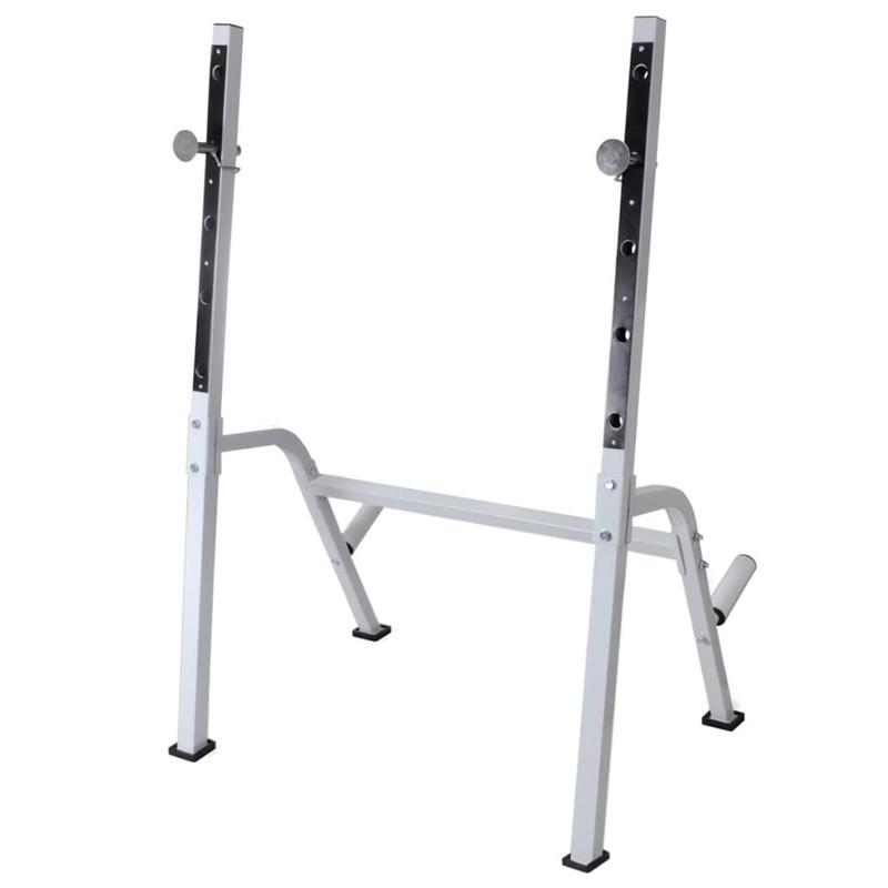 Verstelbare Gewichtbank – Krachtbank – Fitnessbank – Halterbank – Dumbbellbank – Hoogwaardig IJzer – Max. Belastbaarheid 60,5 kg