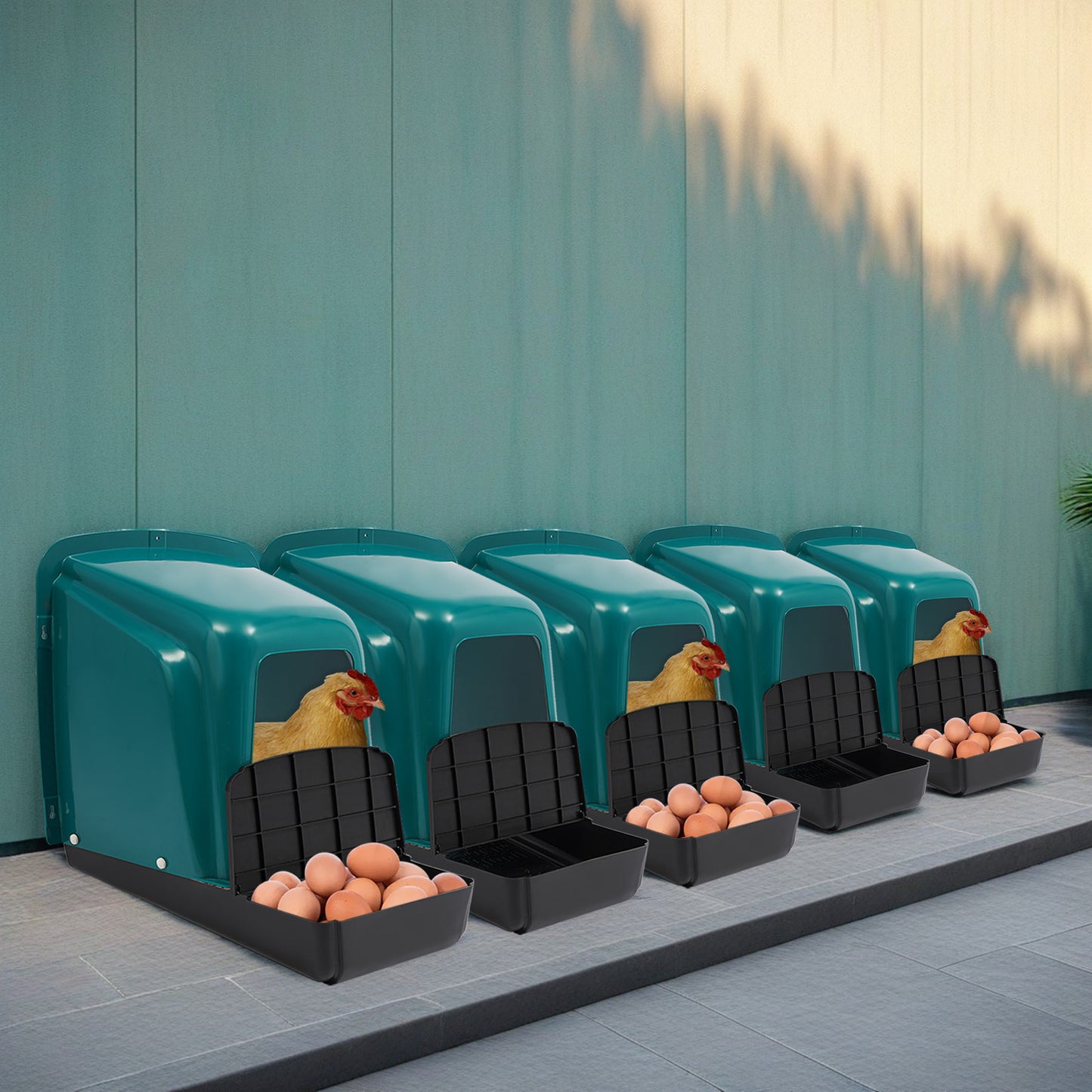 Nestbakken Kip – Kippennest, Legnest, Eibak, Kippenhok Nest – Set Van 5 – Duurzaam kunststof met ventilatie – Eenvoudig schoon te maken – Blauwgroene uitvoering – 2 Compartimenten
