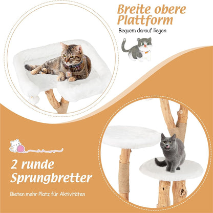 Krabpaal – Kattenboom – Kattenmeubel – Kattenhuis – Kattentoren – Houten Krabpaal – 4 Niveaus Met 2 Ronde Platforms – Stevig Perenhouten Frame