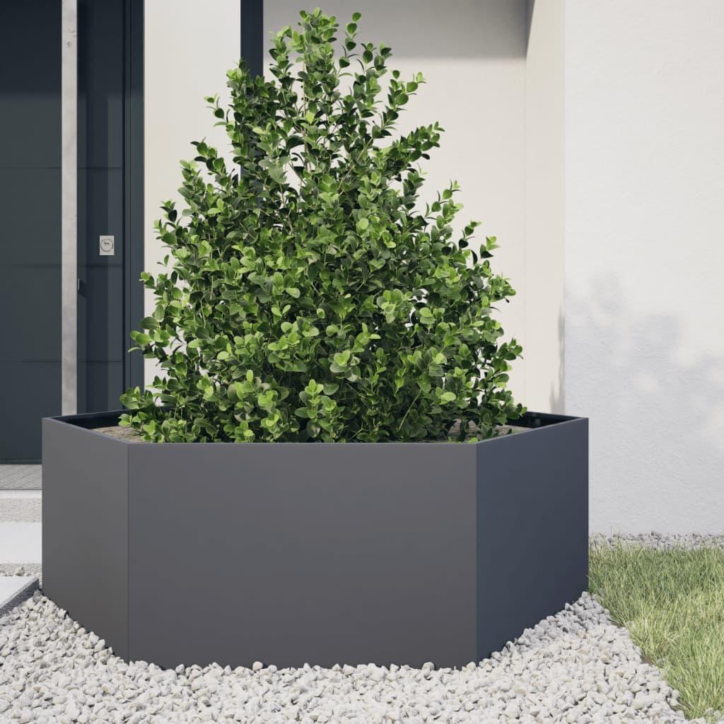 Verhoogde Plantenbak – Tuinbak – Bloembak – Kruidenbak – Groentebak – Weerbestendig Staal – Hexagonaal Design 138x120x45 cm