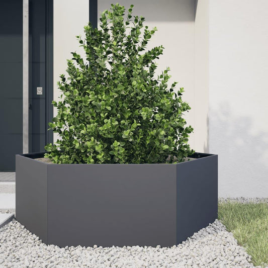 Verhoogde Plantenbak – Tuinbak – Bloembak – Kruidenbak – Groentebak – Weerbestendig Staal – Hexagonaal Design 138x120x45 cm