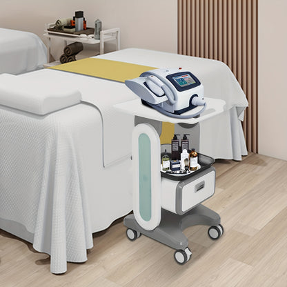 Opbergwagen – Mobiele Werkwagen – Beautywagen – Schoonheidskar – Medische Trolley – 4 Zwenkwielen Met Rem – Stevig ABS Materiaal 44x36x76 cm