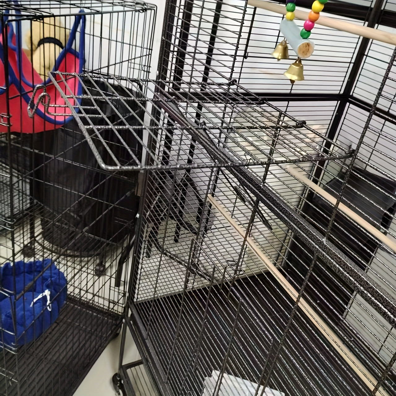 XXL Vogelkooi Papegaaien – Grote Vogelkooi – Papegaai Kooi – Vogelkooi Binnen – Vogelkooi Buiten – Extra Ruim – Stabiele Constructie – 2 Deuren & 360° Wielen – Zwart