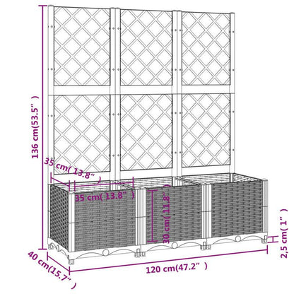Trellis Plantenbak – Plantenpot – Patio Planter – Raised Garden Bed – Tuinbak – Extra Groot – Weerbestendig PP Materiaal – 120x40x136cm – Lattice Design