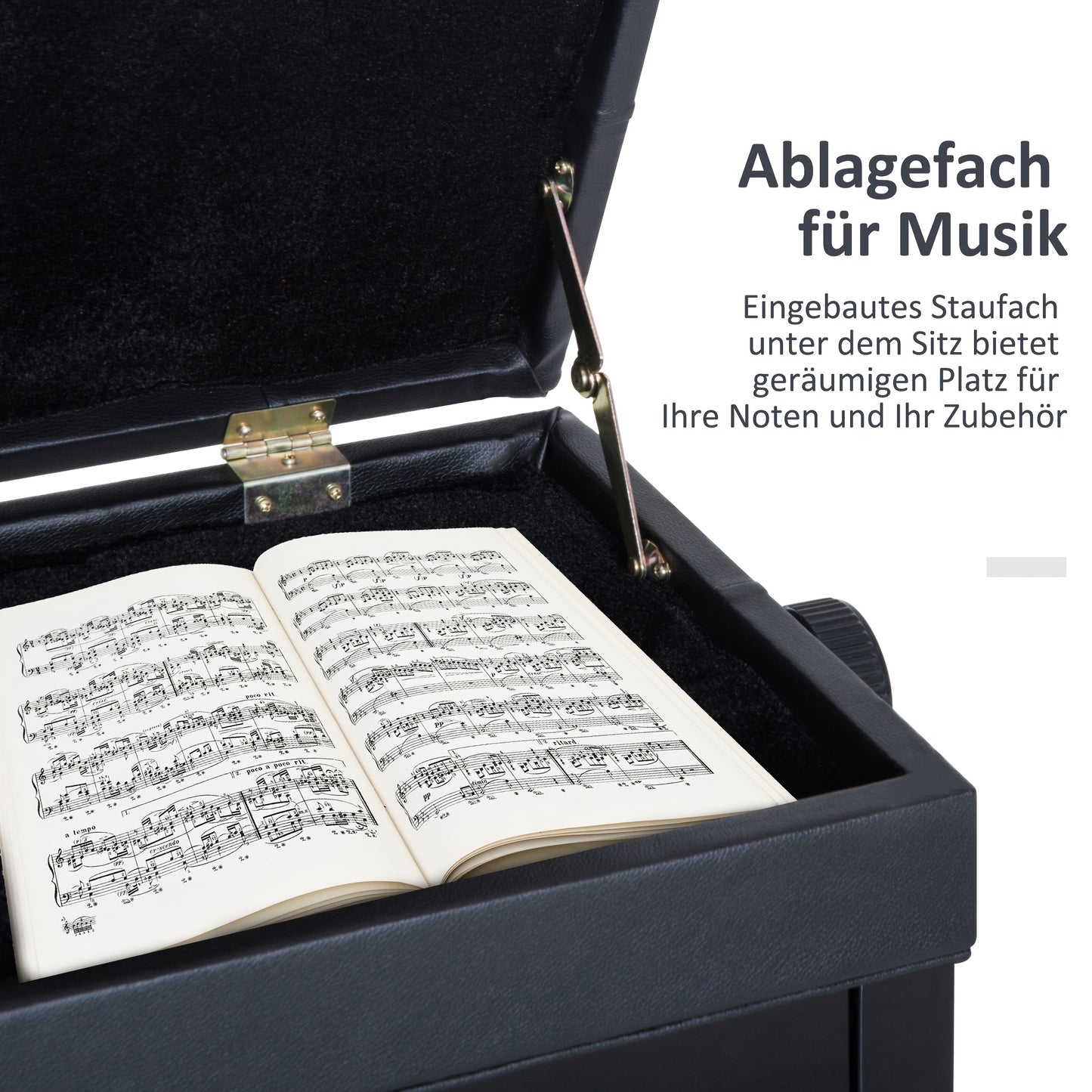 Verstelbare Piano Kruk – Pianobank – Muziekstoel – Keyboard Kruk – Oefenkruk – Zwart – Stevig Metalen Frame – Ingebouwde Opbergruimte