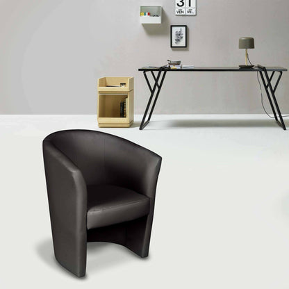 Dpanett Armchair, Upholstered Living Room Chair, Padded Seat with Eco-Leather Armrests, 64x63x76 cm, Available in 5 Colors