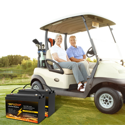 Li-ion Accu – Lithium Accu – 12V Accu – LiFePO4 Accu – Onderhoudsvrij – 100Ah Capaciteit – Ingebouwd 100A BMS – Lange Levensduur 8000+ Cycli