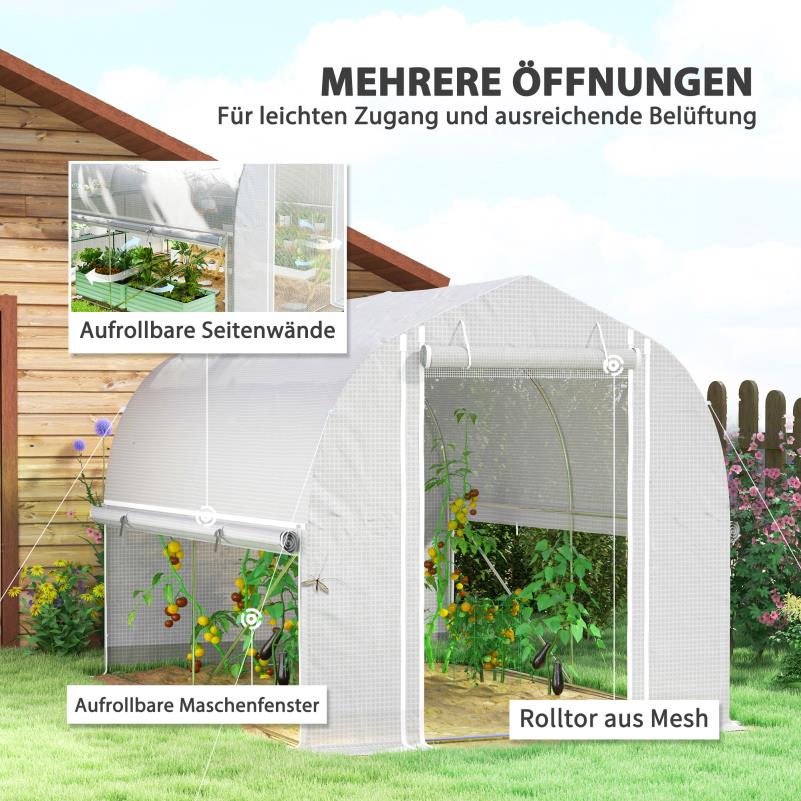 Kweekkas – Tuinkas – Broeikas – Plantenkas – Serre – Gegalvaniseerd Stalen Frame – UV-Bestendige Witte Hoes – 3x2x2 Meter – Ventilatie Met 4 Ramen En Oproldeur
