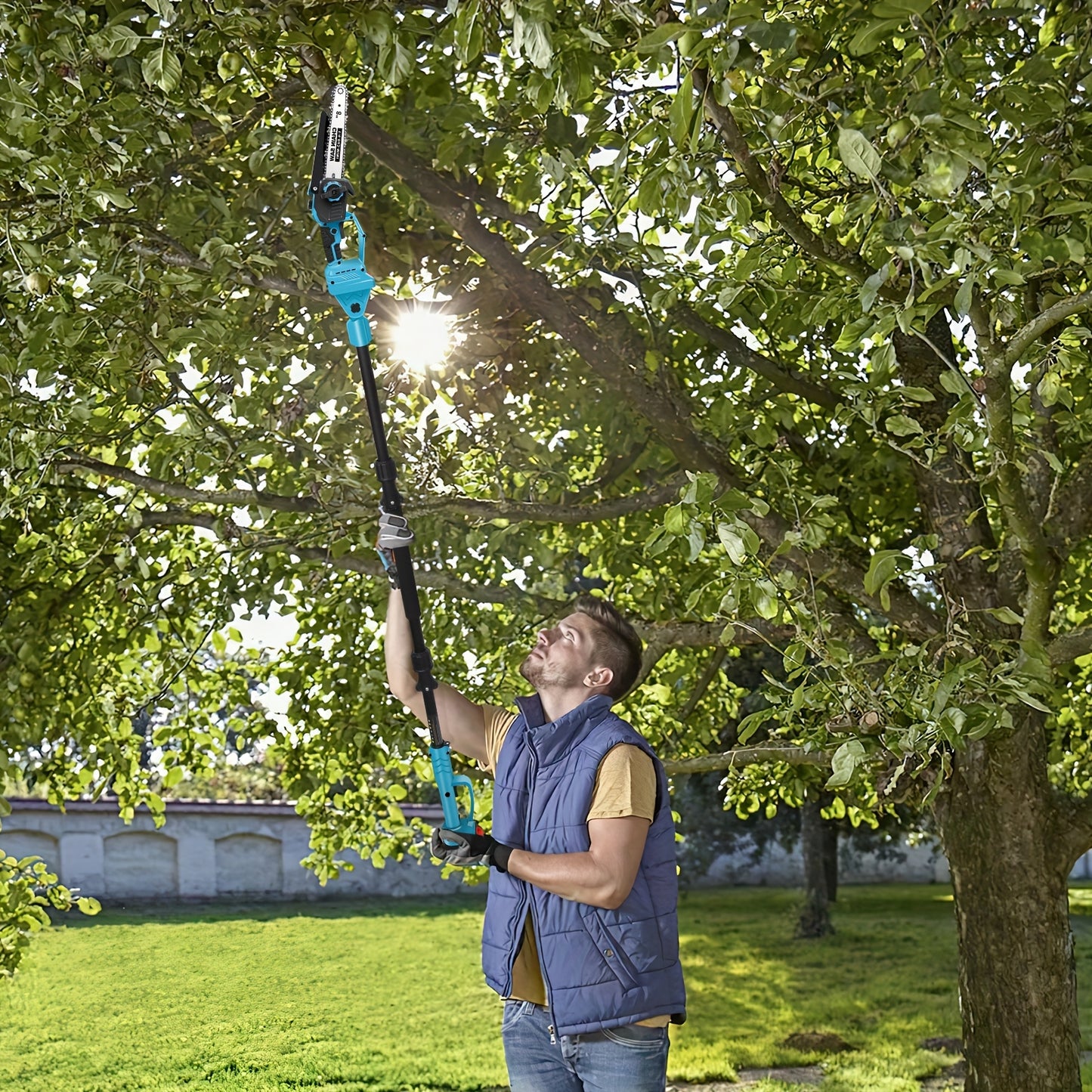 Kettingzaag – Snoeizaag – Takkenzaag – Mini Kettingzaag – Handzaag – Draadloos Met 2 Batterijen – 8 Inch Brushless Motor – Verlengstok 2,5 Meter