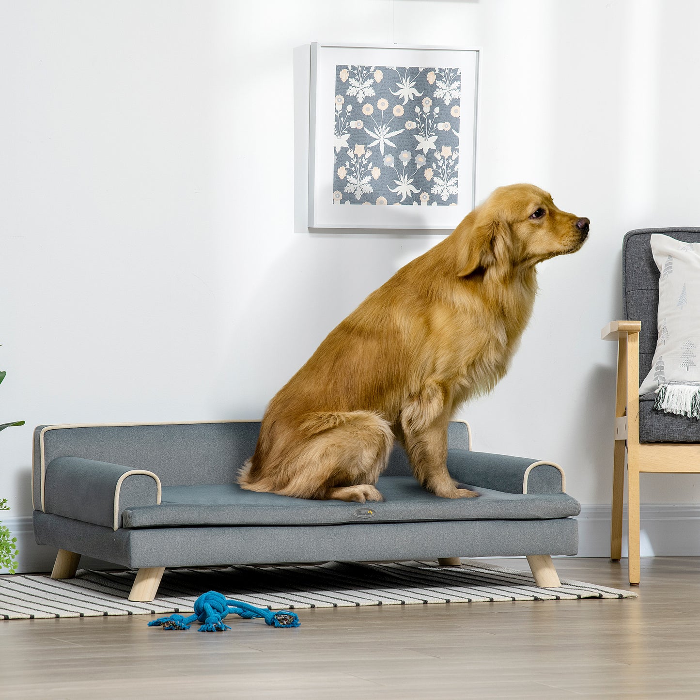 Huisdier Sofa – Dierenbank – Kattenbed – Hondenbank – Pet Bed – Scandinavisch Design – Afneembaar Kussen – Massief Houten Poten – Grijs – 100 x 62 x 32 cm