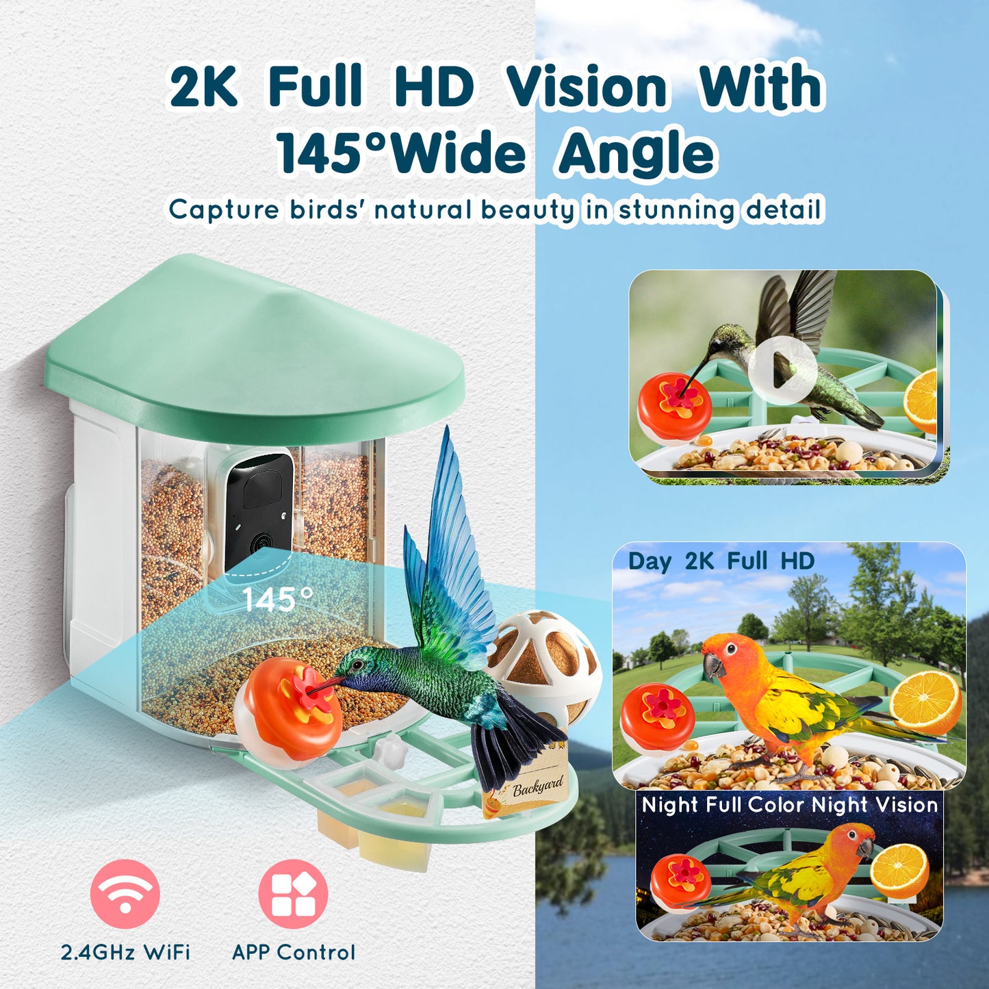 Vogelfotocamera – Vogelvoederhuisje – Wildcamera – Nestkastcamera – Slimme Voederautomaat – 2K HD Camera – AI Vogelherkenning & Zonne-energie