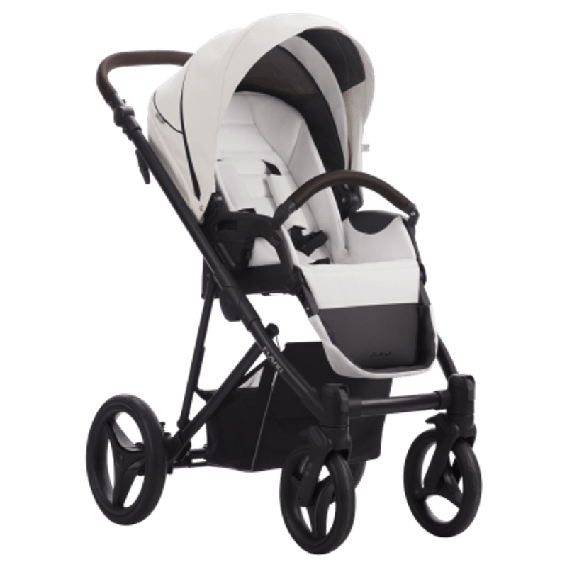 Kinderwagen – Buggy – Wandelwagen – Combiwagen – Reiswieg – 2-in-1 Multifunctioneel – Grote All-Terrain Wielen