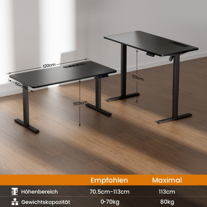 HLDIRECT Electric Desk With Adjustable Height, USB Charging Port, And Power Outlet, Adjustable Computer Desk With 3-function Memory