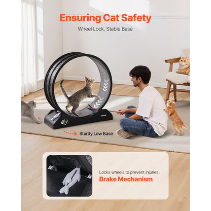 Kattenrad – Kattenspeelwiel – Kattenloopwiel – Kattenrenwiel – Katten fitness wiel – 74 cm groot – Geluidloos & Duurzaam kunststof