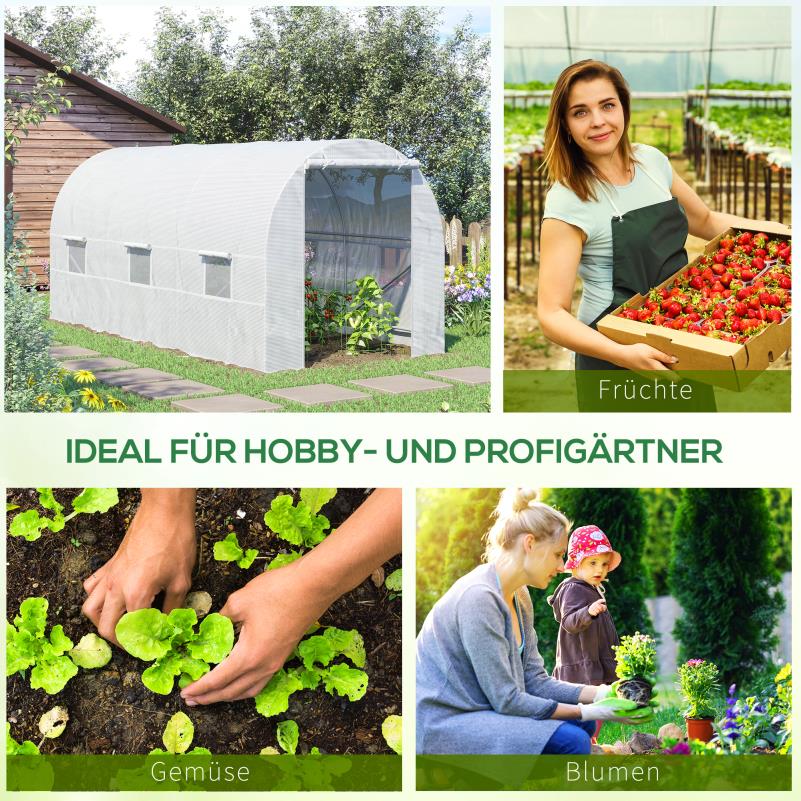 Kweekkas – Tuinkas – Broeikas – Plantenkas – Serre – 2x4 Meter – Duurzaam Polycarbonaat – Weerbestendige Constructie