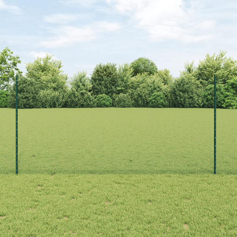 Set di Recinzione Esagonale da Giardino Set di 2 Verde Metallo