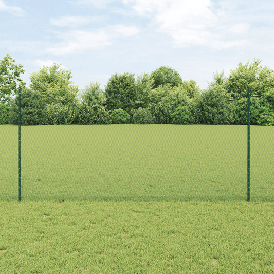 Set di Recinzione Esagonale da Giardino Set di 2 Verde Metallo