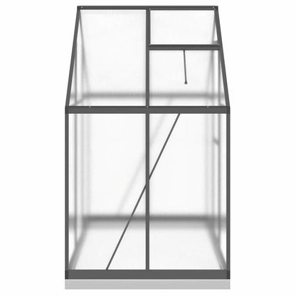 Kweekkas – Plantenkas – Serre – Tuinkas – Groentekas – Aluminium Frame – Antracieten Basis – 169x114x202 cm – Robuust & Weerbestendig