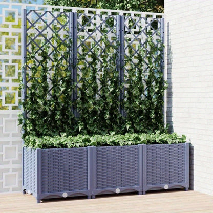 Klimrek – Plantenbak – Tuinbak – Privacy Scherm – Klimwand – Duurzaam PP Kunststof – 120x40x136 cm – Donkergrijs