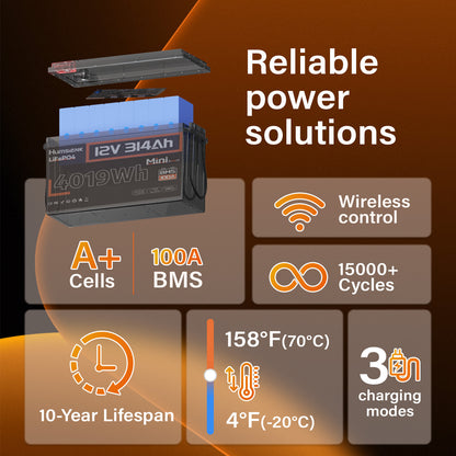 Li-ion Accu – Lithium Accu – LiFePO4 Batterij – 12V Accu – Oplaadbare Accu – 314Ah Capaciteit – Afstandsbediening Met 15.000+ Cyclus Levensduur