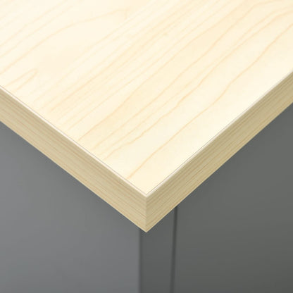 Werkbank – Werktafel – Klusbank – Werkbank Met Laden – Zwarte Werkbank – Stalen Frame – 160x60 cm Werkblad – 6 Laden Met Kogelgelagers