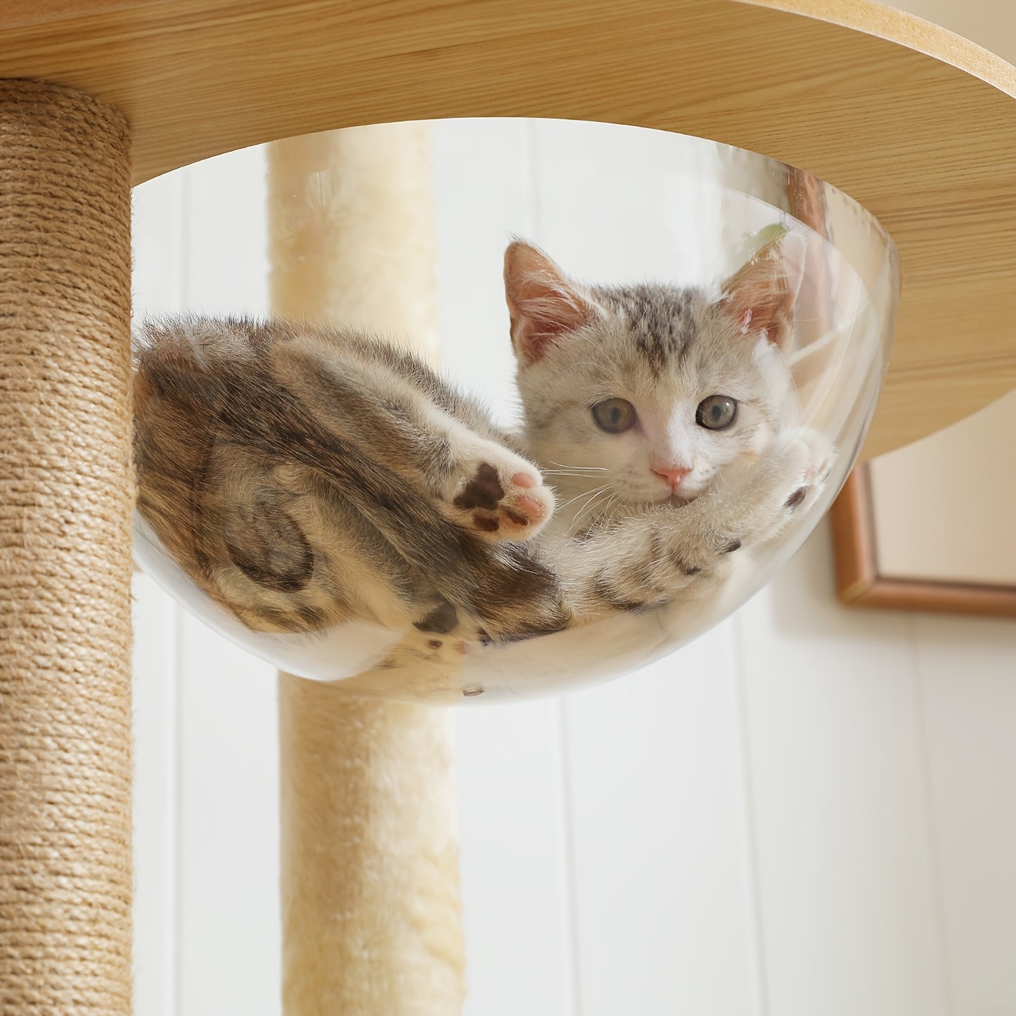 Krabpaal – Kattenboom – Kattenhuis – Kattentoren – Krabmeubel – 180 cm Hoog – Robuuste Houten Constructie